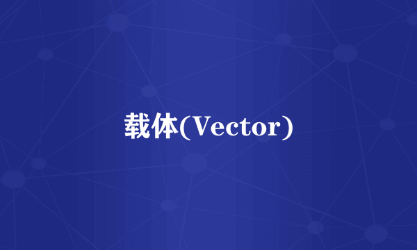 载体(Vector)