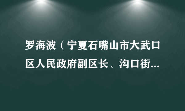 罗海波（宁夏石嘴山市大武口区人民政府副区长、沟口街道办事处主任）