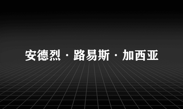 安德烈·路易斯·加西亚