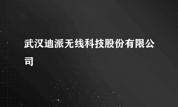 武汉迪派无线科技股份有限公司