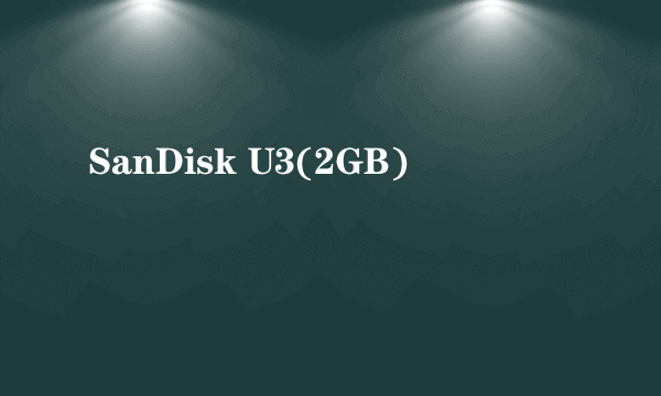 SanDisk U3(2GB)