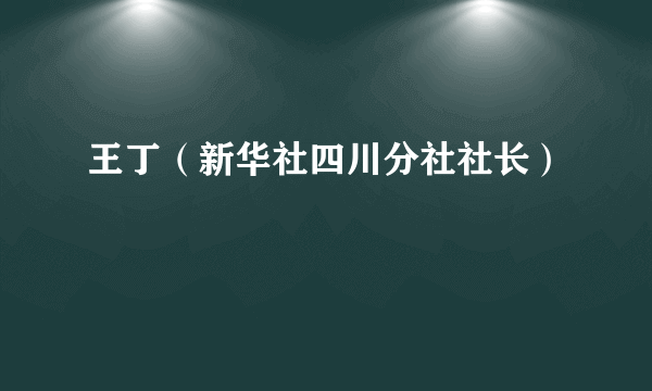 王丁（新华社四川分社社长）