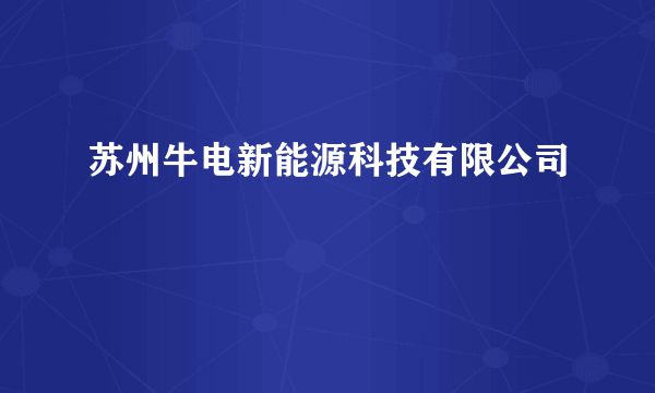 苏州牛电新能源科技有限公司