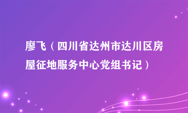 廖飞（四川省达州市达川区房屋征地服务中心党组书记）