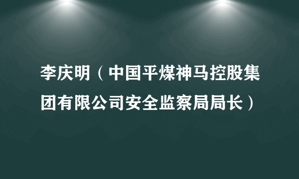 李庆明（中国平煤神马控股集团有限公司安全监察局局长）