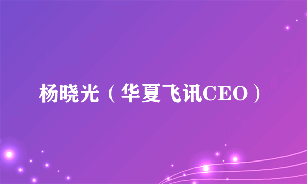 杨晓光（华夏飞讯CEO）