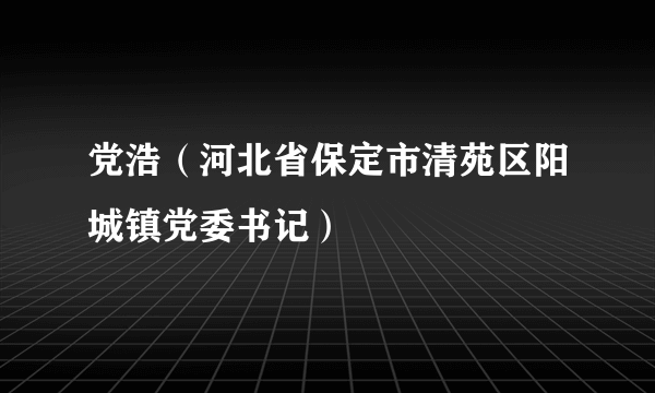 党浩（河北省保定市清苑区阳城镇党委书记）