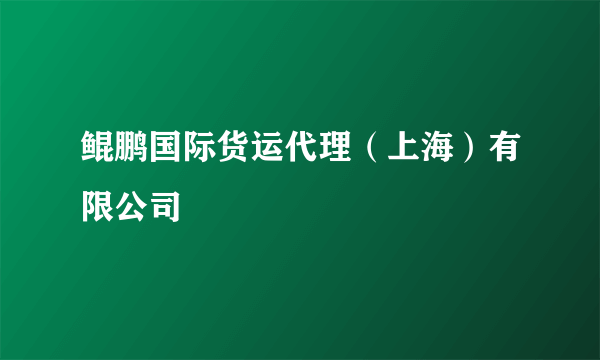 鲲鹏国际货运代理（上海）有限公司