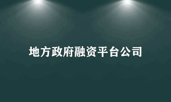 地方政府融资平台公司