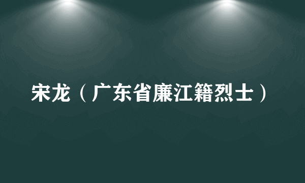 宋龙（广东省廉江籍烈士）