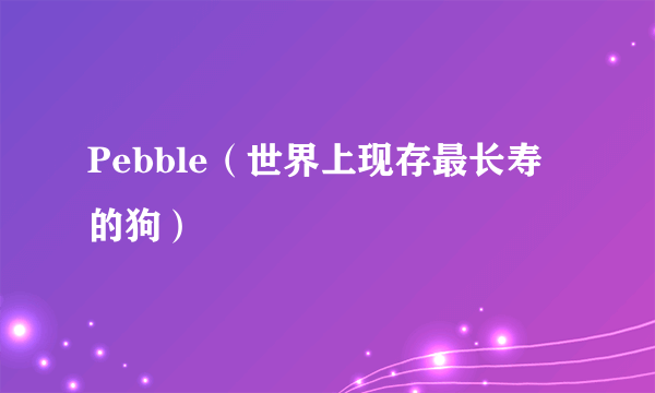 Pebble（世界上现存最长寿的狗）