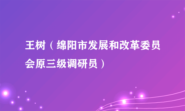 王树（绵阳市发展和改革委员会原三级调研员）