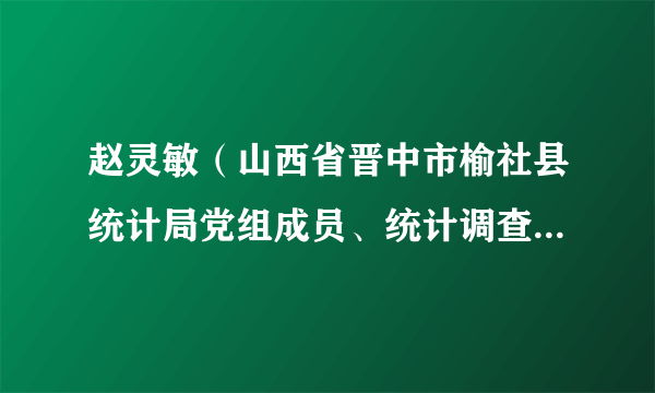 赵灵敏（山西省晋中市榆社县统计局党组成员、统计调查中心主任）