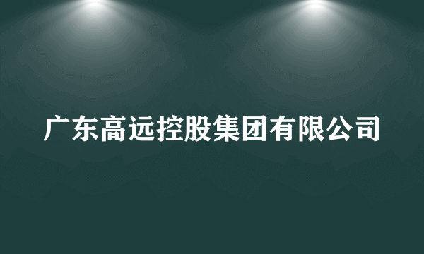 广东高远控股集团有限公司