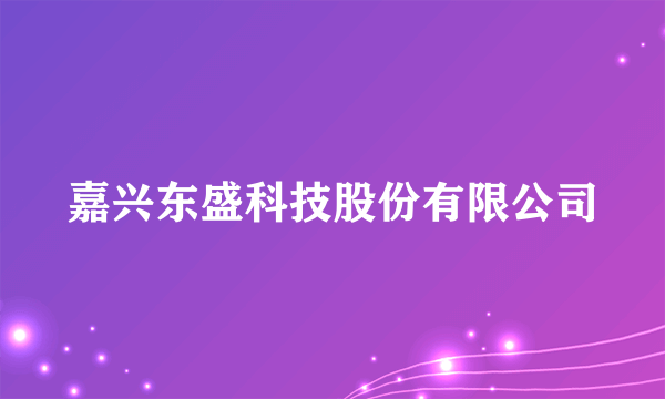 嘉兴东盛科技股份有限公司