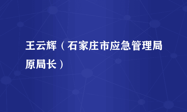 王云辉（石家庄市应急管理局原局长）