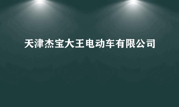 天津杰宝大王电动车有限公司