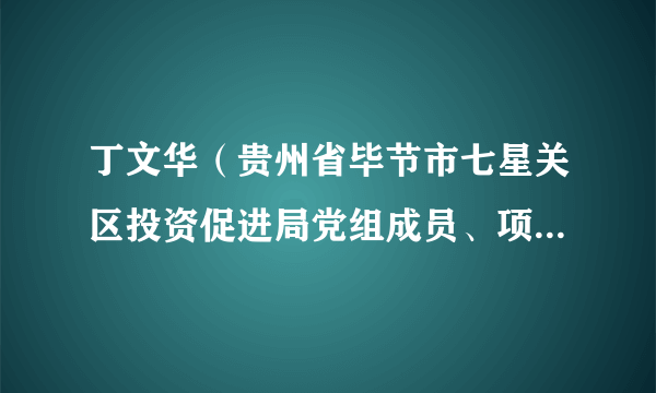 丁文华（贵州省毕节市七星关区投资促进局党组成员、项目代办服务中心主任）