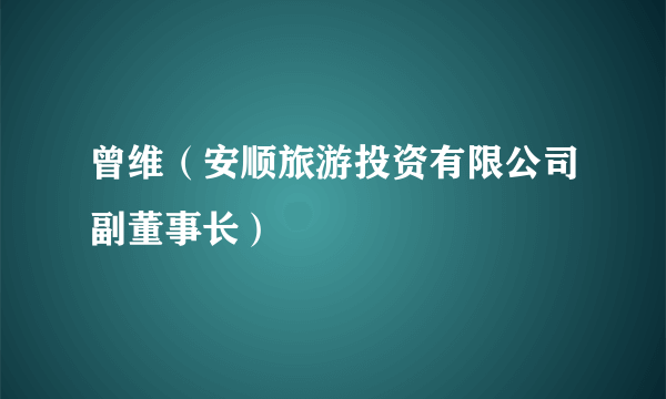 曾维（安顺旅游投资有限公司副董事长）