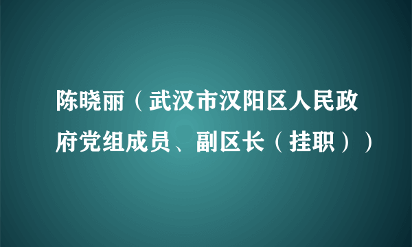 陈晓丽（武汉市汉阳区人民政府党组成员、副区长（挂职））