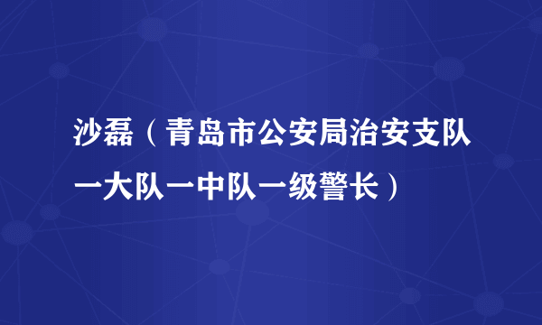 沙磊（青岛市公安局治安支队一大队一中队一级警长）