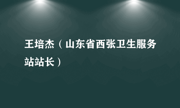 王培杰（山东省西张卫生服务站站长）