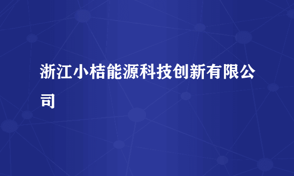 浙江小桔能源科技创新有限公司