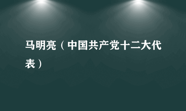 马明亮（中国共产党十二大代表）