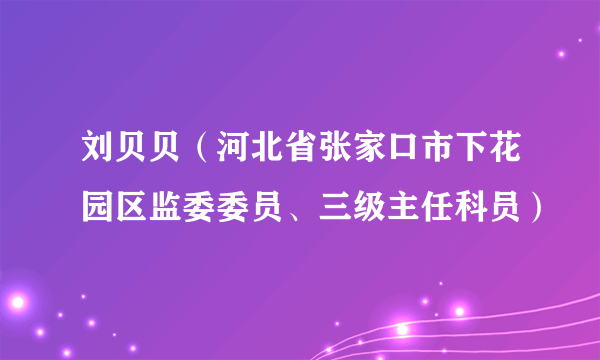 刘贝贝（河北省张家口市下花园区监委委员、三级主任科员）