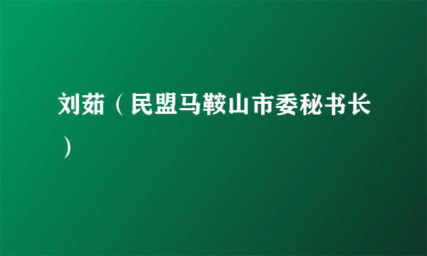 刘茹（民盟马鞍山市委秘书长）