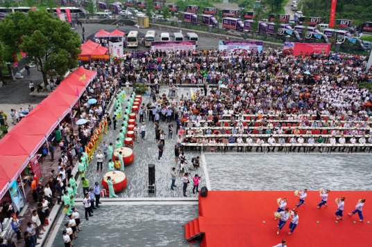 浙江仙居杨梅节