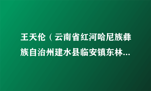 王天伦（云南省红河哈尼族彝族自治州建水县临安镇东林社区党总支书记）