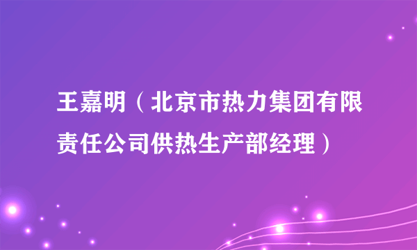 王嘉明（北京市热力集团有限责任公司供热生产部经理）