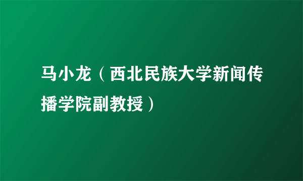 马小龙（西北民族大学新闻传播学院副教授）