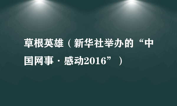 草根英雄（新华社举办的“中国网事·感动2016”）