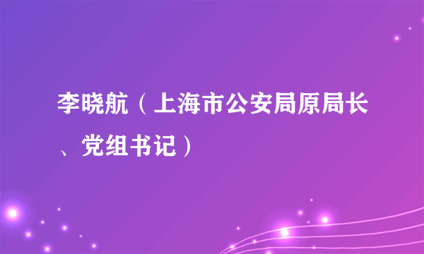 李晓航（上海市公安局原局长、党组书记）