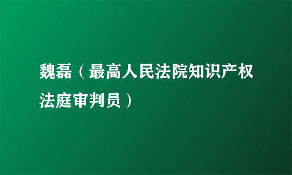 魏磊（最高人民法院知识产权法庭审判员）