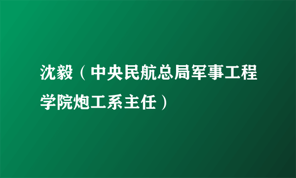 沈毅（中央民航总局军事工程学院炮工系主任）