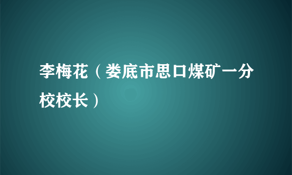 李梅花（娄底市思口煤矿一分校校长）