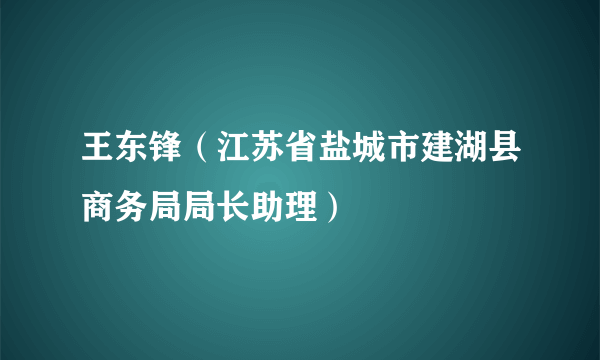 王东锋（江苏省盐城市建湖县商务局局长助理）