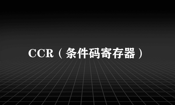 CCR（条件码寄存器）