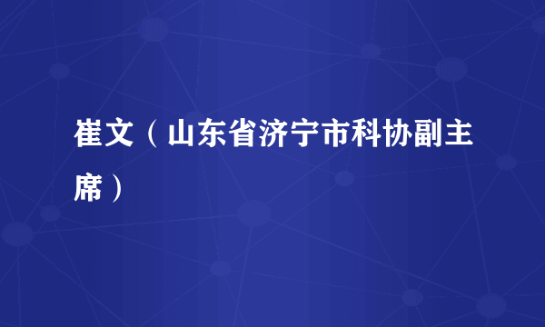 崔文（山东省济宁市科协副主席）