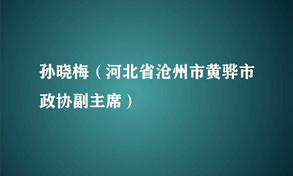 孙晓梅（河北省沧州市黄骅市政协副主席）