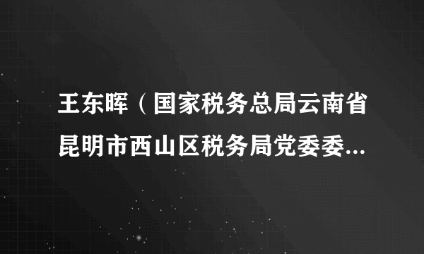 王东晖（国家税务总局云南省昆明市西山区税务局党委委员、副局长）