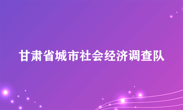 甘肃省城市社会经济调查队