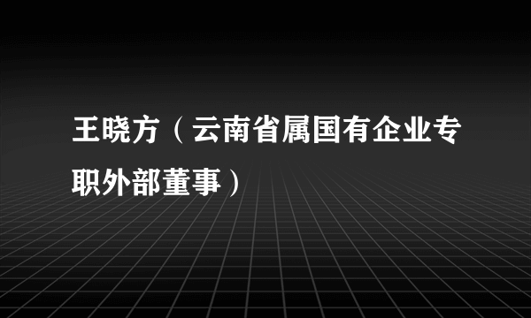 王晓方（云南省属国有企业专职外部董事）