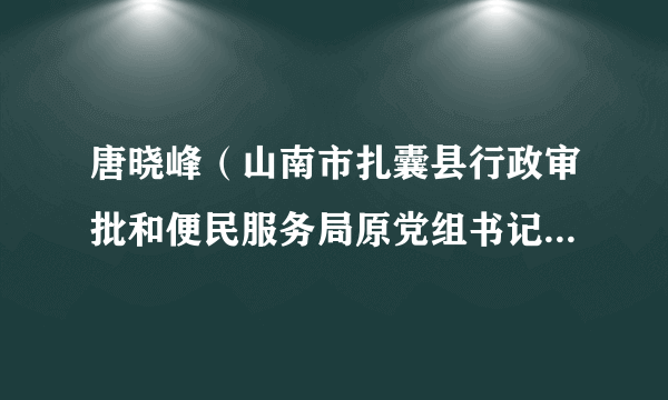 唐晓峰（山南市扎囊县行政审批和便民服务局原党组书记、局长）