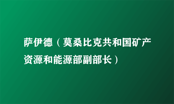 萨伊德（莫桑比克共和国矿产资源和能源部副部长）