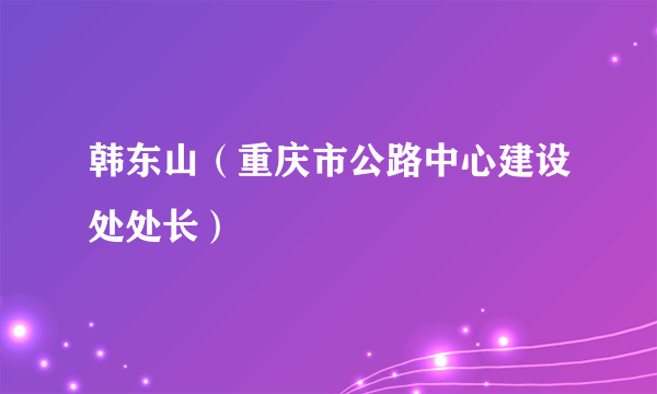 韩东山（重庆市公路中心建设处处长）