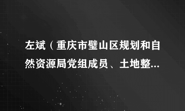 左斌（重庆市璧山区规划和自然资源局党组成员、土地整治储备中心主任）